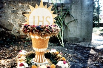 img20101208_07522884