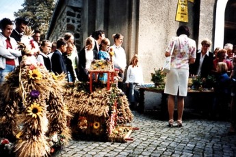 img20101208_07540500