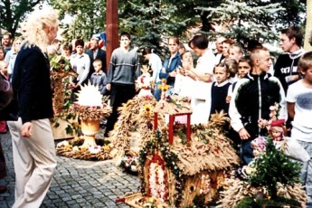 img20101208_08030892