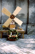 img20101208_08092056